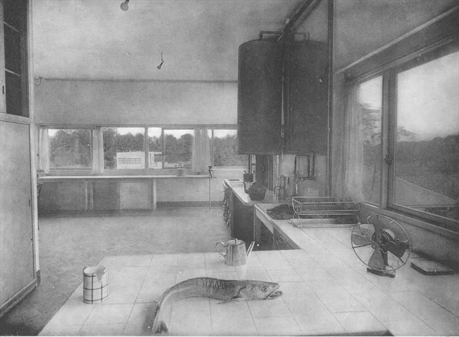 斯泰因别墅（Villa Stein）厨房桌上的一条死鱼,1929 ©️L’Architecture Vivante