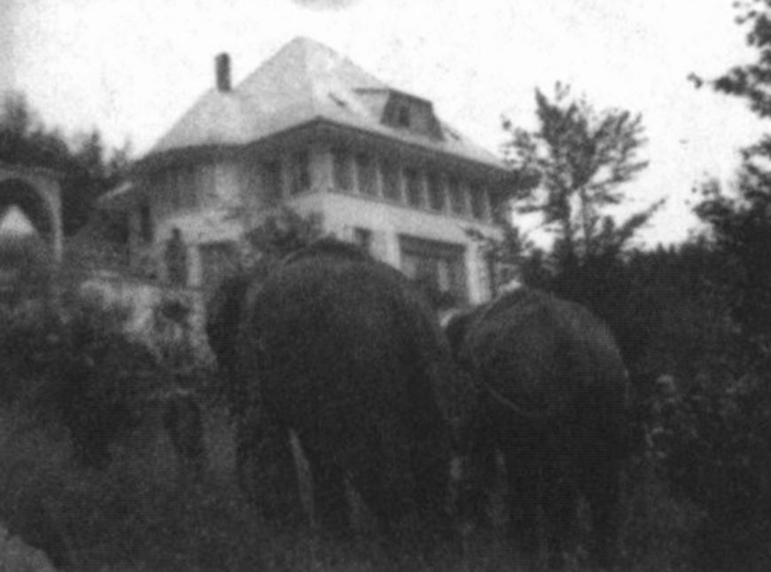 马戏团的大象冲向勒·柯布西耶在la chaux de fonds的住宅, 1914
